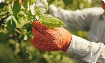 Agriculture & Agroalimentaire