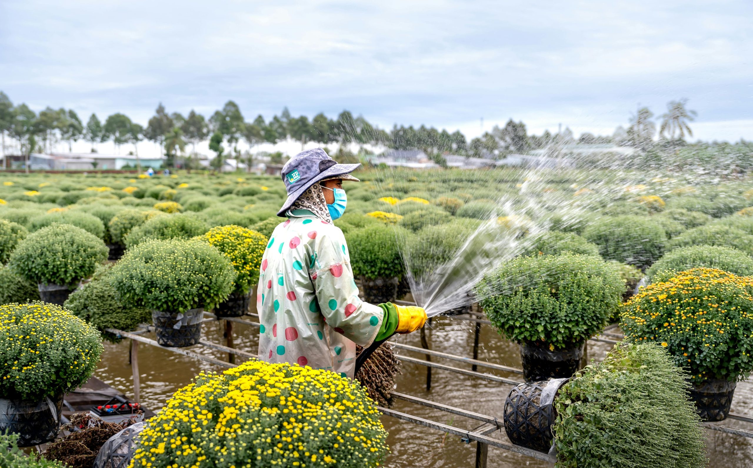 Agriculture et agroalimentaire 1 agriculture about min scaled