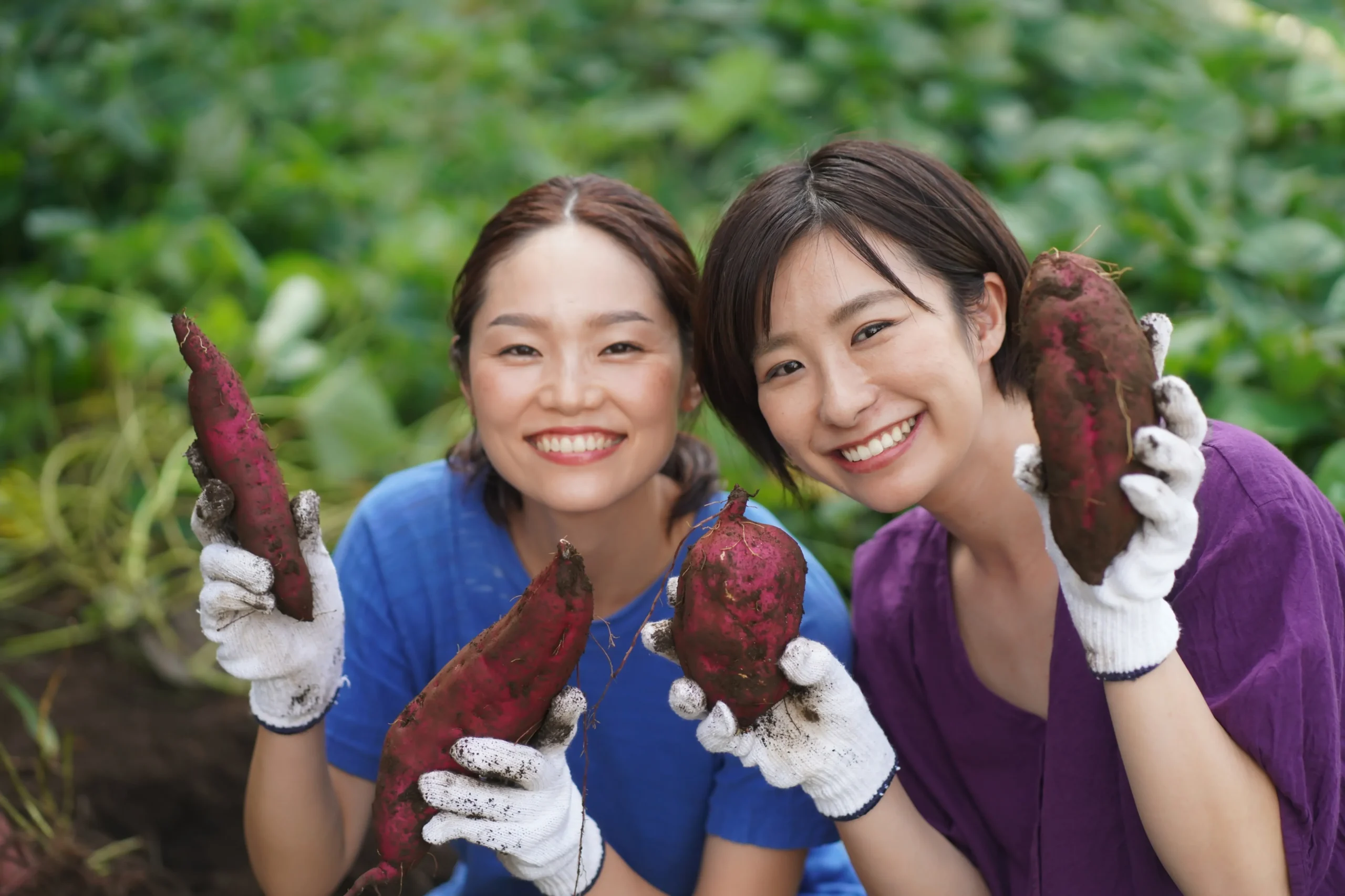 Agriculture et agroalimentaire 7 reliable workforce scaled